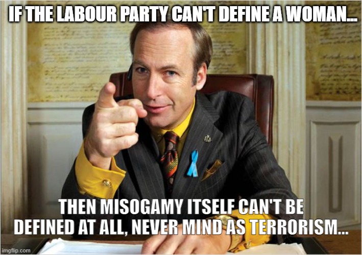 Breaking Bad Saul Goodman | IF THE LABOUR PARTY CAN'T DEFINE A WOMAN... THEN MISOGAMY ITSELF CAN'T BE DEFINED AT ALL, NEVER MIND AS TERRORISM... | image tagged in breaking bad saul goodman | made w/ Imgflip meme maker