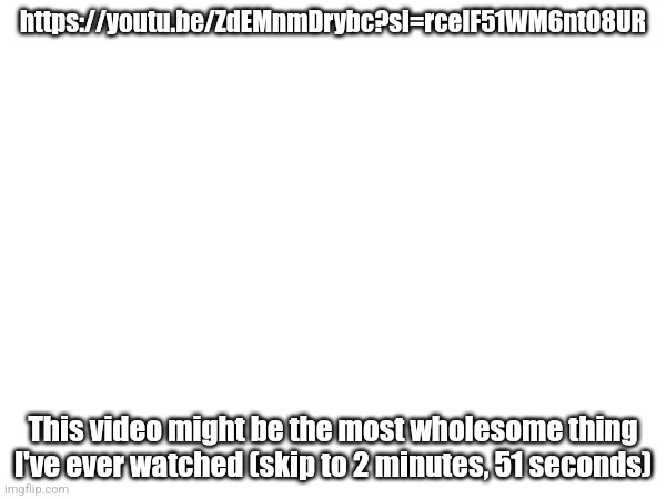 https://youtu.be/ZdEMnmDrybc?si=rcelF51WM6ntO8UR; This video might be the most wholesome thing I've ever watched (skip to 2 minutes, 51 seconds) | made w/ Imgflip meme maker