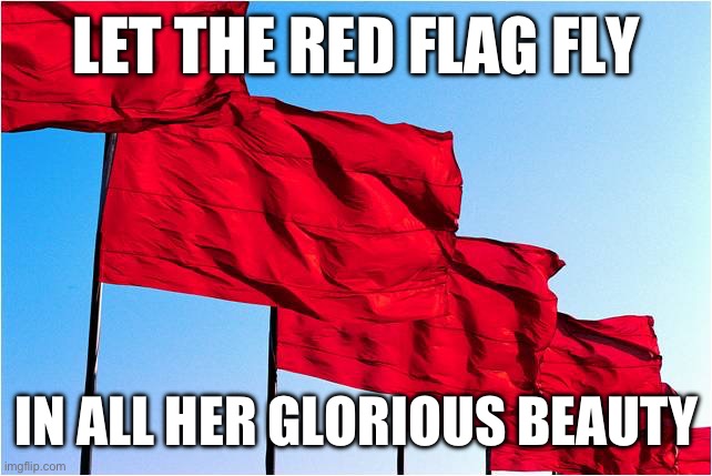 red flags | LET THE RED FLAG FLY; IN ALL HER GLORIOUS BEAUTY | image tagged in red flags | made w/ Imgflip meme maker