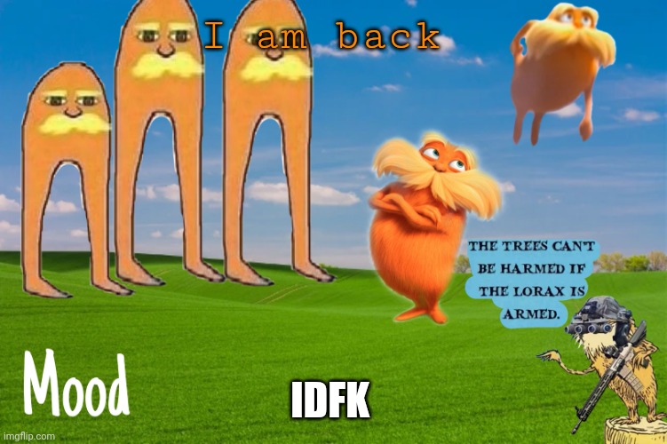 Lorax template | I am back; IDFK | image tagged in lorax template | made w/ Imgflip meme maker