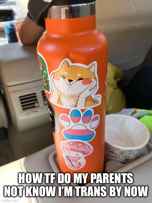 My water bottle with trans sticker | HOW TF DO MY PARENTS NOT KNOW I’M TRANS BY NOW | made w/ Imgflip meme maker