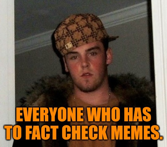 Meme Douchebag | EVERYONE WHO HAS TO FACT CHECK MEMES. | image tagged in douchebag | made w/ Imgflip meme maker