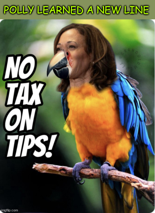 another dem parrot... | POLLY LEARNED A NEW LINE | image tagged in kamala harris,will steal anything,to get elected | made w/ Imgflip meme maker