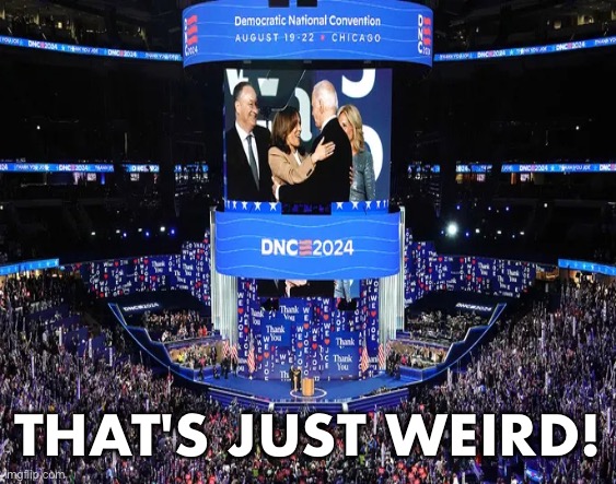 A very weird DNC Convention! | THAT'S JUST WEIRD! | image tagged in democrat party,kamala harris,convention,weird,weird stuff | made w/ Imgflip meme maker