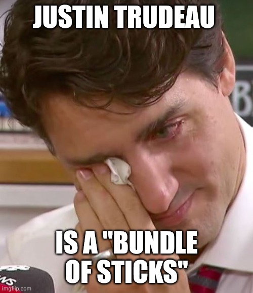 He is the British euphemism for "cigarette". | JUSTIN TRUDEAU; IS A "BUNDLE OF STICKS" | image tagged in justin trudeau crying | made w/ Imgflip meme maker