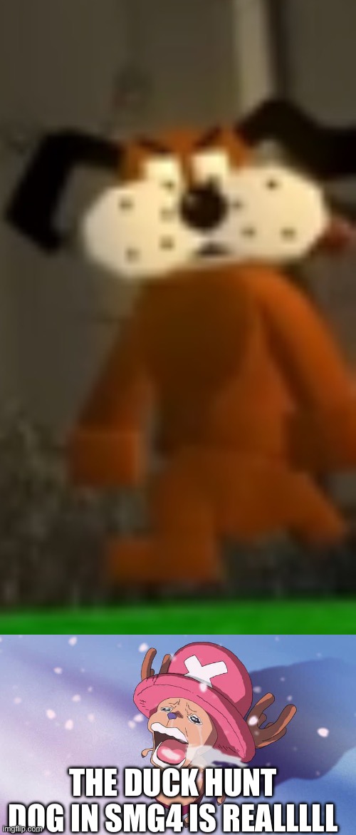 THE DUCK HUNT DOG IN SMG4 IS REALLLLL | image tagged in crying chopper one piece | made w/ Imgflip meme maker