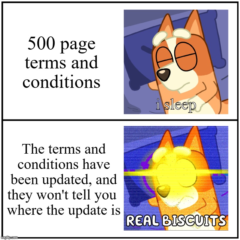 Bingo sleeps... | 500 page terms and conditions; The terms and conditions have been updated, and they won't tell you 
where the update is | image tagged in i sleep real biscuits | made w/ Imgflip meme maker