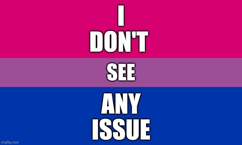 Bi flag | I
DON'T; SEE; ANY
ISSUE | image tagged in bi flag | made w/ Imgflip meme maker