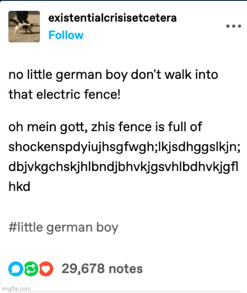 no little german boy dont walk into that electric fence! | image tagged in no little german boy dont walk into that electric fence | made w/ Imgflip meme maker