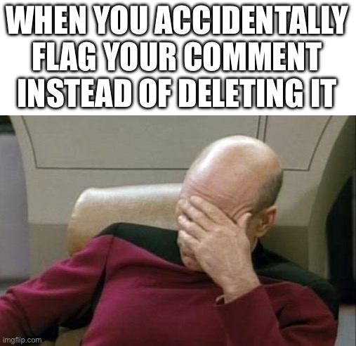 Captain Picard Facepalm | WHEN YOU ACCIDENTALLY FLAG YOUR COMMENT INSTEAD OF DELETING IT | image tagged in memes,captain picard facepalm | made w/ Imgflip meme maker