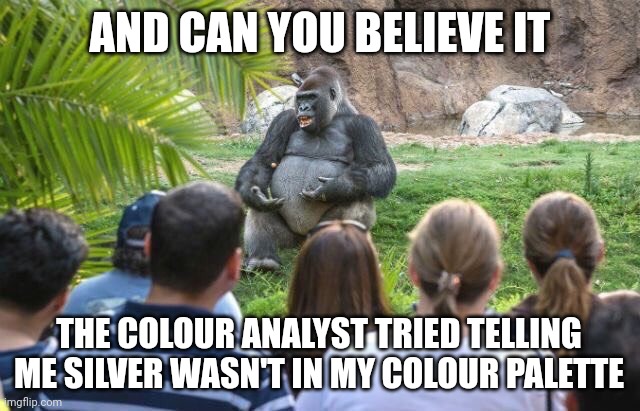 Lecturing Gorilla  | AND CAN YOU BELIEVE IT; THE COLOUR ANALYST TRIED TELLING ME SILVER WASN'T IN MY COLOUR PALETTE | image tagged in lecturing gorilla | made w/ Imgflip meme maker