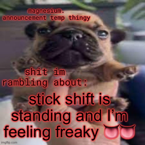 pug temp | stick shift is standing and I’m feeling freaky 👅👅 | image tagged in pug temp | made w/ Imgflip meme maker