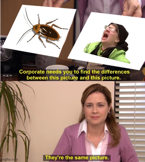 They're The Same Picture Meme | image tagged in memes,they're the same picture | made w/ Imgflip meme maker