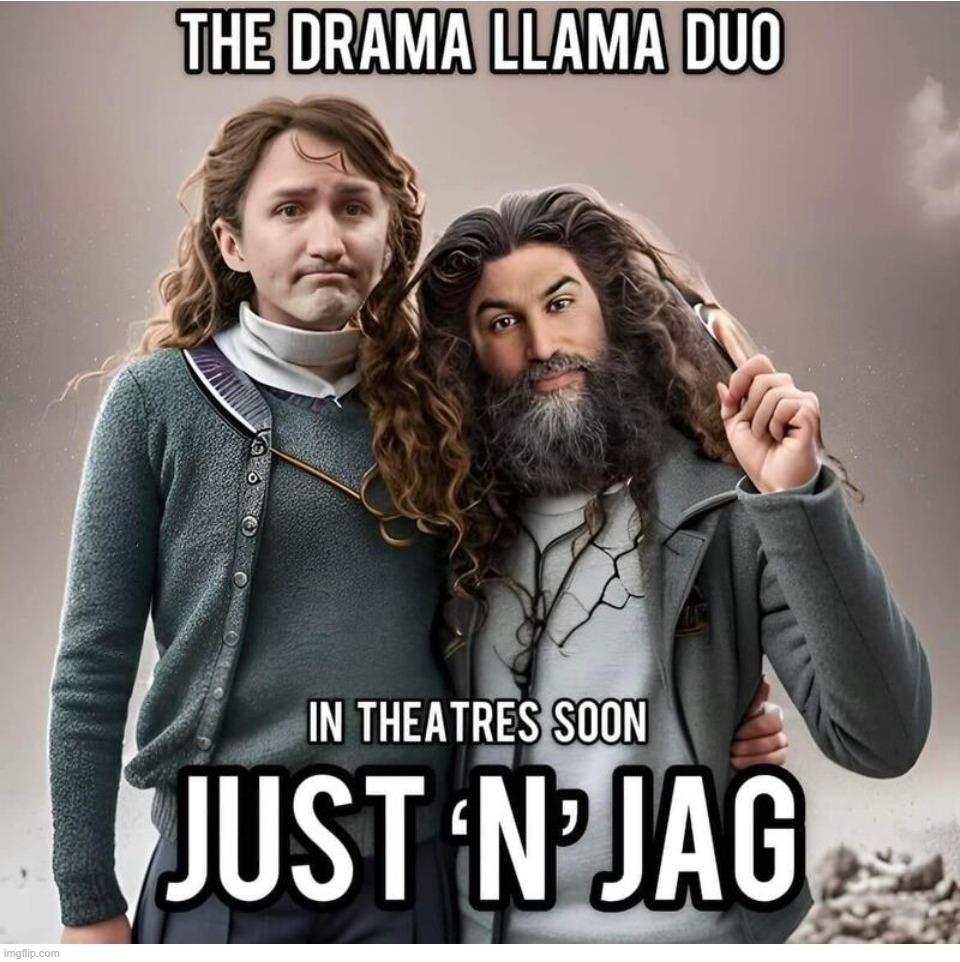 Introducing Justine Turdeau and The Drama Llama Ding Dongs | image tagged in justin trudeau,drama queen,drag queens,drag queen story hour,justine turdeau,turds | made w/ Imgflip meme maker