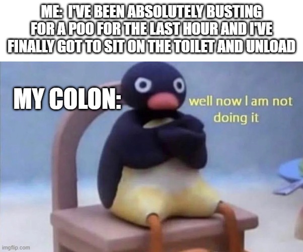 Why does this always happen??? | ME:  I'VE BEEN ABSOLUTELY BUSTING FOR A POO FOR THE LAST HOUR AND I'VE FINALLY GOT TO SIT ON THE TOILET AND UNLOAD; MY COLON: | image tagged in pingu well now i am not doing it | made w/ Imgflip meme maker