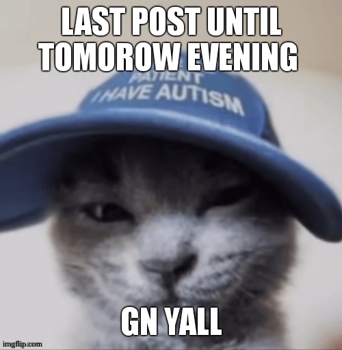 cat autism | LAST POST UNTIL TOMOROW EVENING; GN YALL | image tagged in cat autism | made w/ Imgflip meme maker
