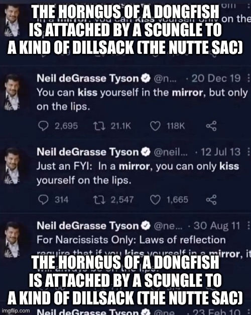 kiss | THE HORNGUS OF A DONGFISH IS ATTACHED BY A SCUNGLE TO A KIND OF DILLSACK (THE NUTTE SAC); THE HORNGUS OF A DONGFISH IS ATTACHED BY A SCUNGLE TO A KIND OF DILLSACK (THE NUTTE SAC) | image tagged in kiss | made w/ Imgflip meme maker