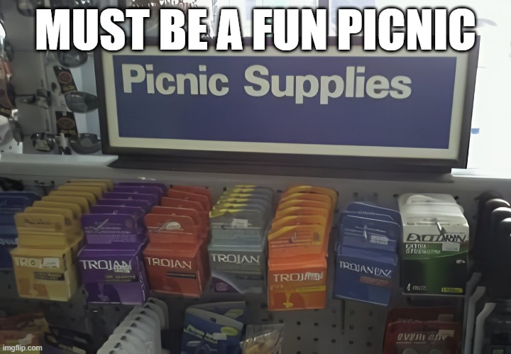 Picnic Supplies | MUST BE A FUN PICNIC | image tagged in you had one job | made w/ Imgflip meme maker