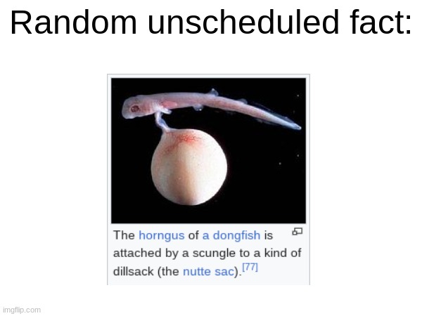 Random unscheduled fact: | made w/ Imgflip meme maker