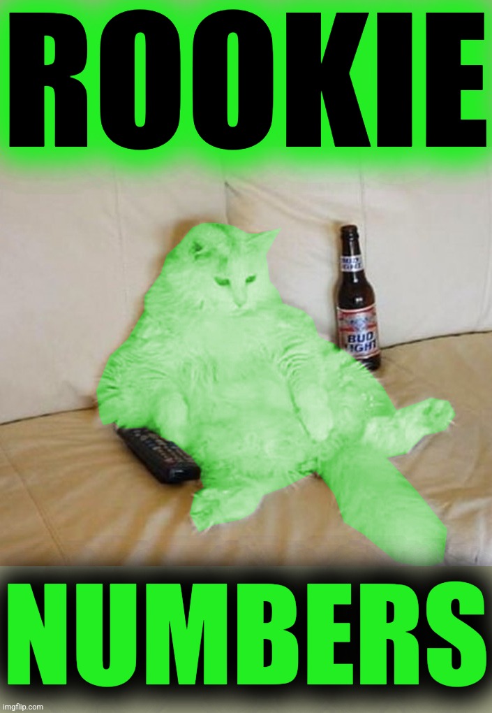 RayCat Chillin' | ROOKIE NUMBERS | image tagged in raycat chillin' | made w/ Imgflip meme maker