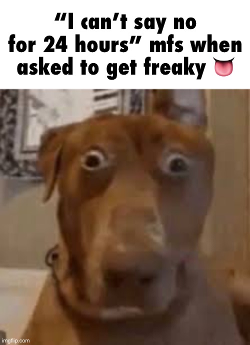 your fault | “I can’t say no for 24 hours” mfs when asked to get freaky 👅 | image tagged in shocked dog | made w/ Imgflip meme maker