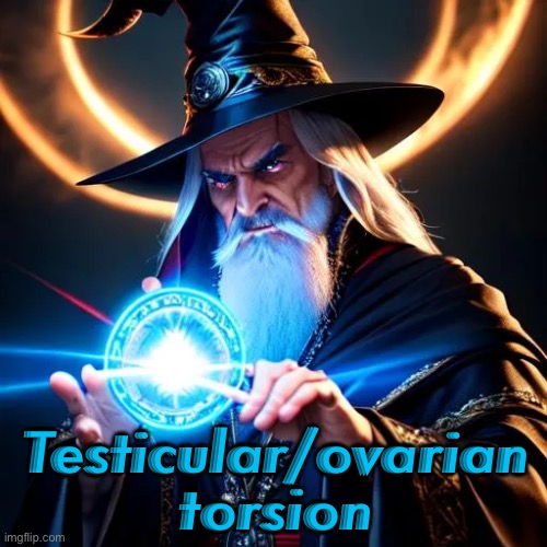 Testicular/ovarian torsion | made w/ Imgflip meme maker