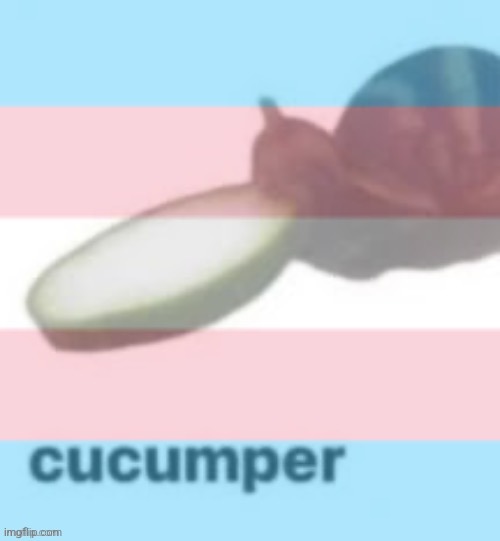 Trans cucumper | image tagged in trans cucumper | made w/ Imgflip meme maker