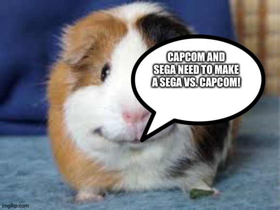 The Guinea pig of wisdom wants a Sega vs. Capcom | CAPCOM AND SEGA NEED TO MAKE A SEGA VS. CAPCOM! | image tagged in happy guinea pig,crossover,capcom,sega | made w/ Imgflip meme maker