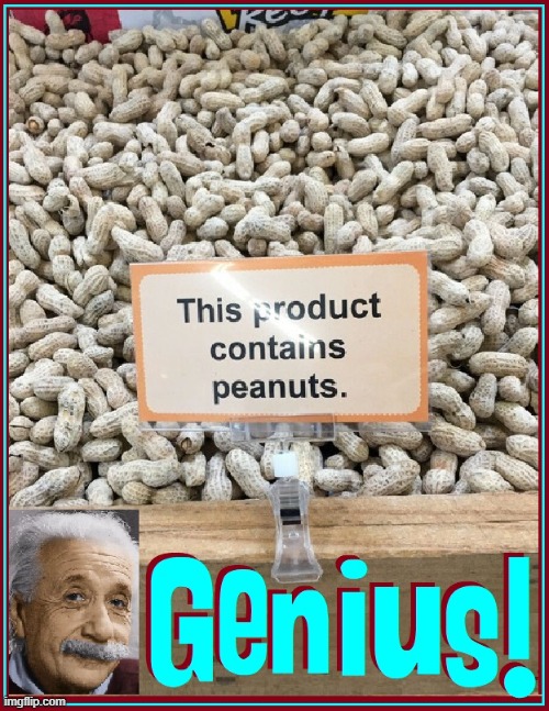 Do you really hafta be Einstein? | image tagged in vince vance,memes,albert einstein,peanuts,nut allergy,warning | made w/ Imgflip meme maker