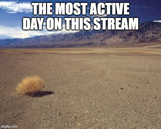 truth | THE MOST ACTIVE DAY ON THIS STREAM | image tagged in desert tumbleweed | made w/ Imgflip meme maker