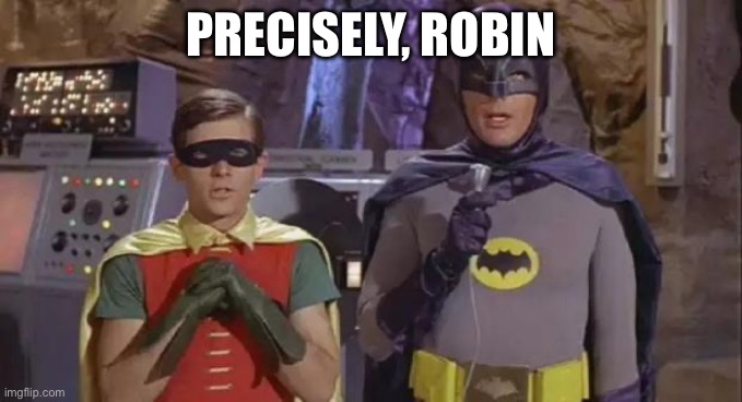 Precisely Batman | PRECISELY, ROBIN | image tagged in precisely batman | made w/ Imgflip meme maker