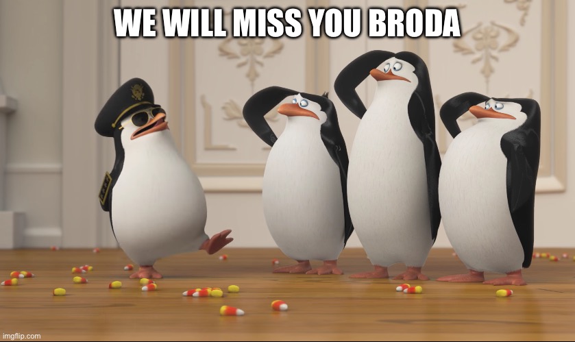 Saluting skipper | WE WILL MISS YOU BRODA | image tagged in saluting skipper | made w/ Imgflip meme maker