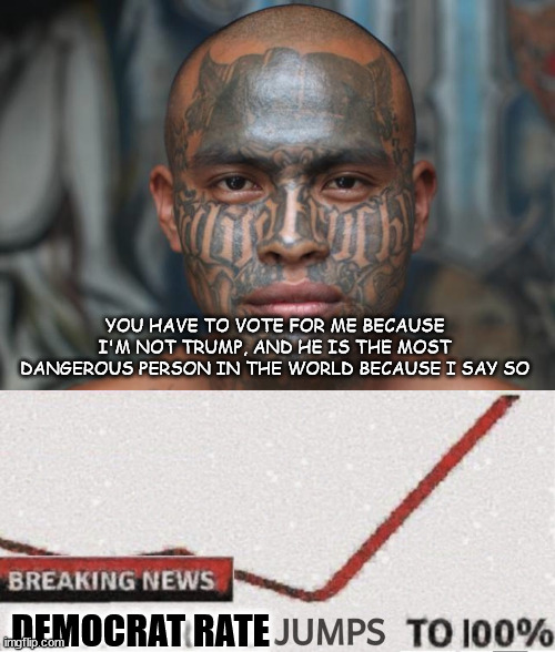 YOU HAVE TO VOTE FOR ME BECAUSE I'M NOT TRUMP, AND HE IS THE MOST DANGEROUS PERSON IN THE WORLD BECAUSE I SAY SO DEMOCRAT RATE | image tagged in suicide rate 100 | made w/ Imgflip meme maker