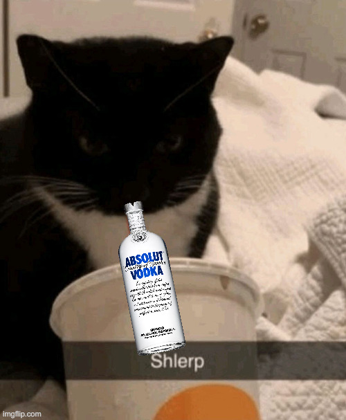 shlerp | image tagged in shlerp | made w/ Imgflip meme maker