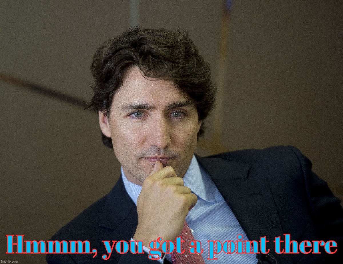Justin Trudeau readiness | Hmmm, you got a point there | image tagged in justin trudeau readiness | made w/ Imgflip meme maker
