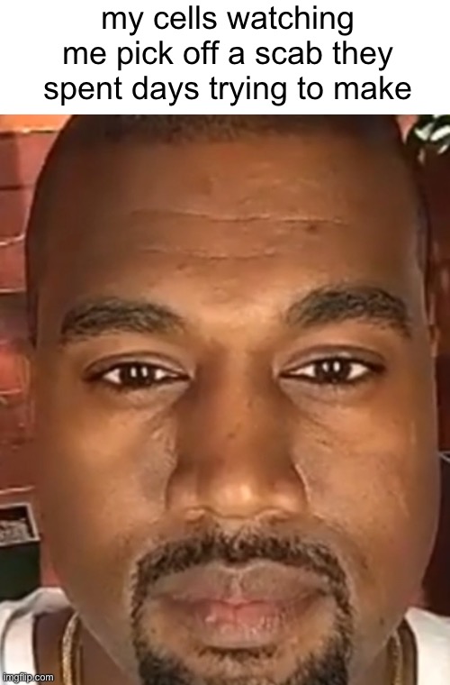 kanye | my cells watching me pick off a scab they spent days trying to make | image tagged in kanye west stare | made w/ Imgflip meme maker