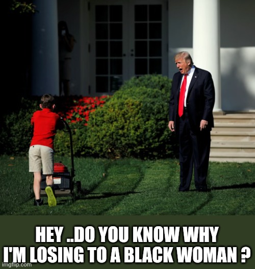 loser | HEY ..DO YOU KNOW WHY
I'M LOSING TO A BLACK WOMAN ? | image tagged in trump on lawn,harris | made w/ Imgflip meme maker