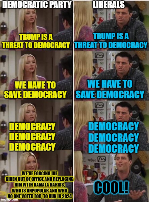 DemoCrazy | DEMOCRATIC PARTY; LIBERALS; TRUMP IS A THREAT TO DEMOCRACY; TRUMP IS A THREAT TO DEMOCRACY; WE HAVE TO SAVE DEMOCRACY; WE HAVE TO SAVE DEMOCRACY; DEMOCRACY DEMOCRACY DEMOCRACY; DEMOCRACY DEMOCRACY DEMOCRACY; WE'RE FORCING JOE BIDEN OUT OF OFFICE AND REPLACING HIM WITH KAMALA HARRIS, WHO IS UNPOPULAR AND WHO NO ONE VOTED FOR, TO RUN IN 2024; COOL! | image tagged in phoebe joey | made w/ Imgflip meme maker