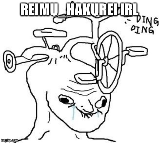 brainlet | REIMU_HAKUREI IRL | image tagged in brainlet | made w/ Imgflip meme maker