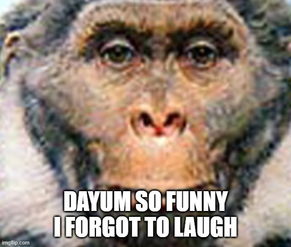 “Danm that was so funny I forgot to laugh” Sivapithicus | DAYUM SO FUNNY I FORGOT TO LAUGH | image tagged in danm that was so funny i forgot to laugh sivapithicus | made w/ Imgflip meme maker