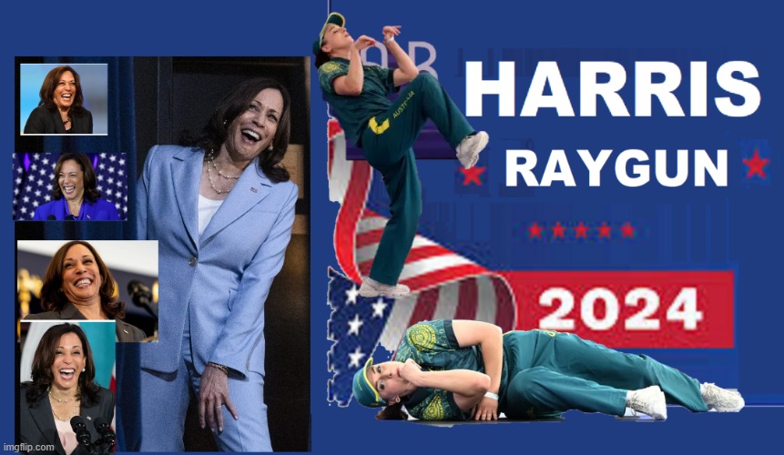 Harris Raygun 2024 | made w/ Imgflip meme maker