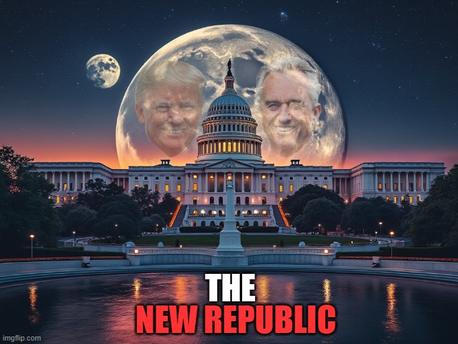 The New Republic | THE; NEW REPUBLIC | image tagged in politics | made w/ Imgflip meme maker