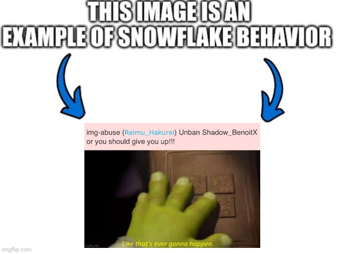 This image is an example of snowflake behavior | image tagged in this image is an example of snowflake behavior | made w/ Imgflip meme maker