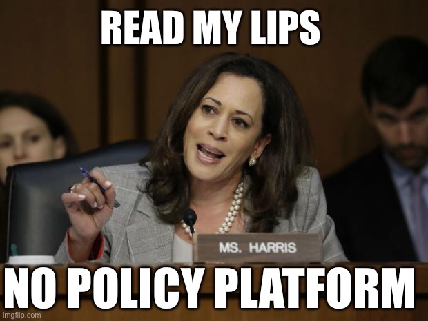 We Make it Up As Go Along | READ MY LIPS; NO POLICY PLATFORM | image tagged in kamala harris,election 2024 | made w/ Imgflip meme maker