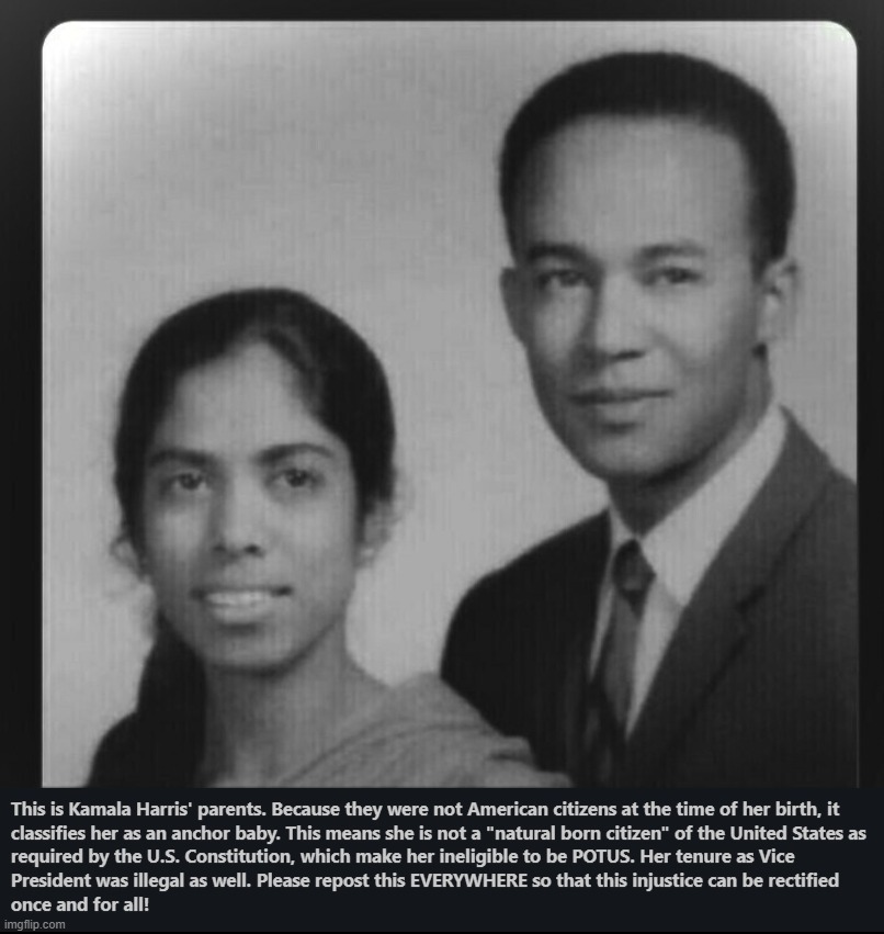 Kamala Harris is NOT eligible to be President of the United States | image tagged in kamala harris,anchor baby,ineligible,wait that's illegal,potus,government corruption | made w/ Imgflip meme maker