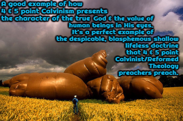 The Perfect Example | A good example of how 4 & 5 point Calvinism presents the character of the true; God & the value of human beings in His eyes. It's a perfect example of the despicable, blasphemous; shallow lifeless doctrine that 4 & 5 point Calvinist/Reformed Theology preachers preach. | image tagged in memes,r/dankchristianmemes,reformed theology,calvinism,arminian,poop | made w/ Imgflip meme maker