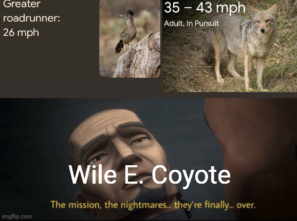 The mission, the nightmares... they’re finally... over. | Wile E. Coyote | image tagged in the mission the nightmares they re finally over,looney tunes | made w/ Imgflip meme maker