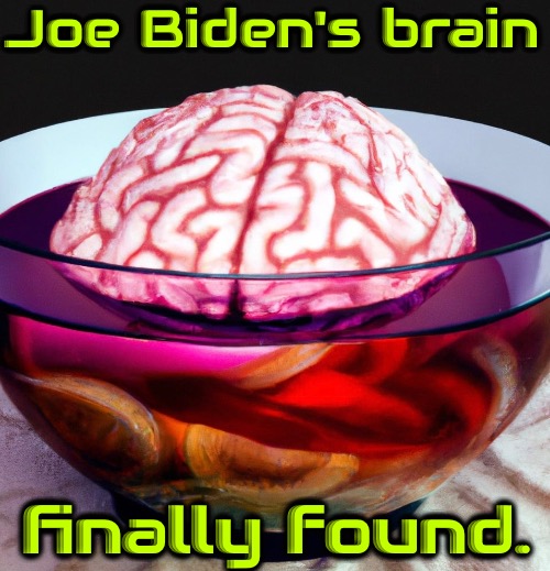 Joe's Brain | Joe Biden's brain; finally found. | image tagged in memes,duhhh dumbass,zombie,conservatives,braindead,stupid people | made w/ Imgflip meme maker