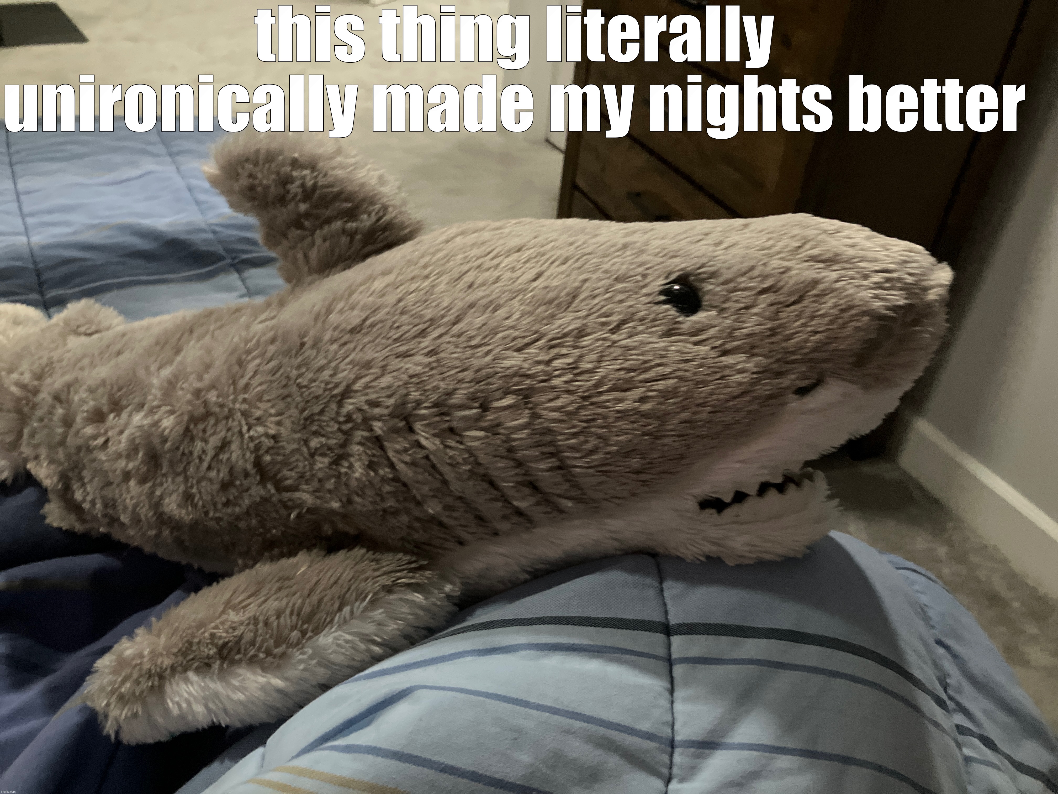 so damn huggable so i always pretend its one of my best friends it helps so much | this thing literally unironically made my nights better | made w/ Imgflip meme maker