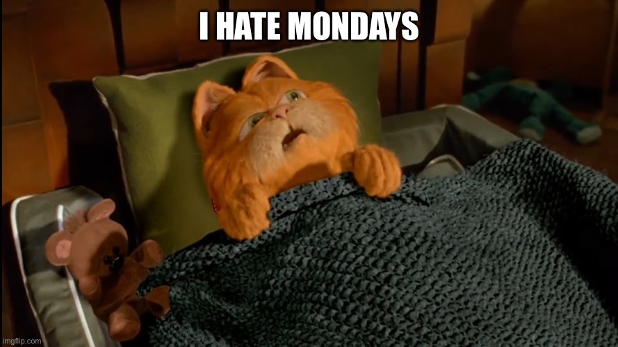 I hate Mondays | I HATE MONDAYS | image tagged in i hate mondays | made w/ Imgflip meme maker